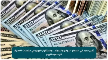 تغير جديد في أسعار الدولار والباوند.. واستقرار اليورو في منصات الصرف الرسمية اليوم